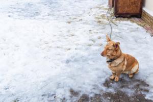 Kateryna Mashkevych/Dreamstime/TNS