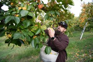 Anne Chadwick Williams/KFF Health News/TNS