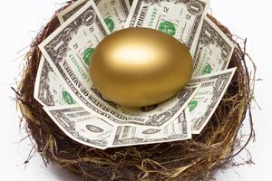 Nest egg saving. Dreamstime/TCA