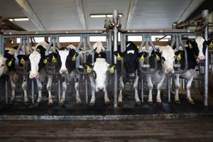 Michael M. Santiago/Getty Images North America/TNS