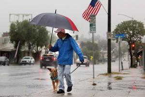 Christina House/Los Angeles Times/TNS