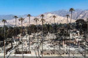 Brian van der Brug/Los Angeles Times/TNS