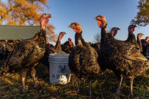 Dominic Di Palermo/Chicago Tribune/Dominic Di Palermo