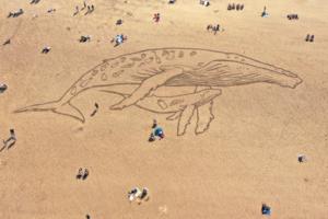 Christopher Furlong/Getty Images Europe/TNS