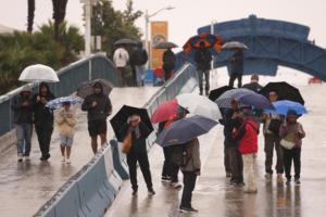 Genaro Molina/Los Angeles Times/TNS