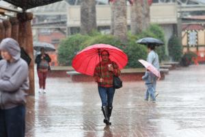 Allen J. Schaben/Los Angeles Times/TNS