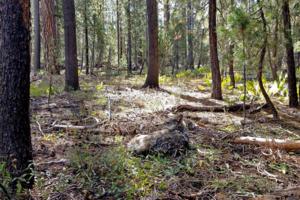 California Department of Fish and Wildlife/California Department of Fish and Wildlife/TNS