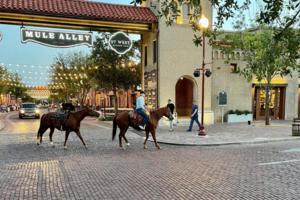 Matt Leclercq/Fort Worth Star-Telegram/TNS