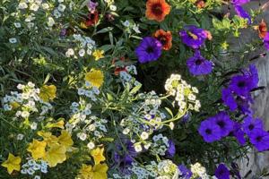 Norman Winter/Norman Winter/TNS