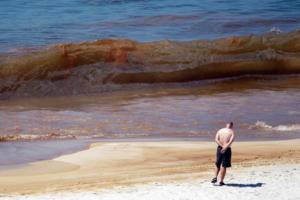 Joe Raedle/Getty Images North America/TNS