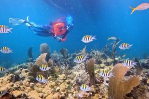 Frazier Nivens/Florida Keys News Bureau/AFP/Getty Images North America/TNS