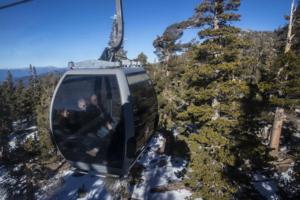 Robert Gauthier/Los Angeles Times/TNS