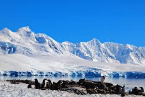 Kathy Witt/Kathy Witt/TNS