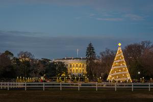 The National Christmas Tree and White House at night, in Washington, DC. Dreamstime/TCA