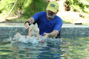 Rich Pope/Orlando Sentinel/TNS