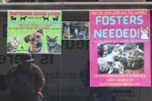 Michael M. Santiago/Getty Images North America/TNS