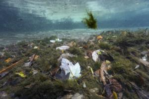 Douglas R. Clifford/Tampa Bay Times/TNS