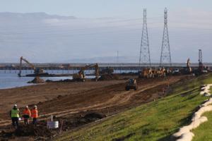 Aric Crabb/Bay Area News Group/TNS