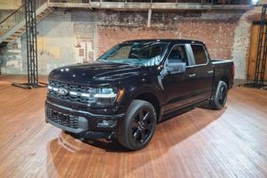 Henry Payne, The Detroit News/The Detroit News/TNS