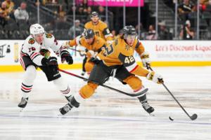 Candice Ward/Getty Images North America/TNS