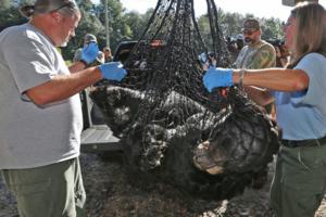 Red Huber/Orlando Sentinel/TNS