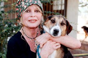 Bang Showbiz / Brigitte Bardot has struggled with depression
