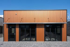 Kara Gildea/Las Vegas Review-Journal/TNS