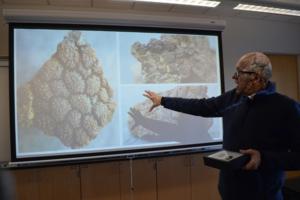 Trey Mewes/The Minnesota Star Tribune/TNS