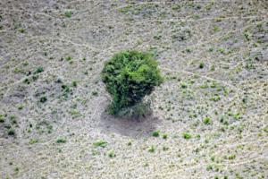 Mauro Pimentel/Getty Images North America/TNS