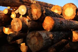 Chip Somodevilla/Getty Images North America/TNS