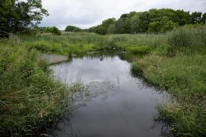 Monica Herndon/The Philadelphia Inquirer/TNS