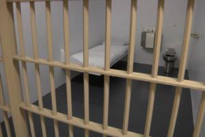 Florida Dept. of Corrections/Florida Dept. of Corrections/TNS