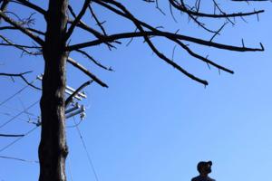 Genaro Molina/Los Angeles Times/TNS