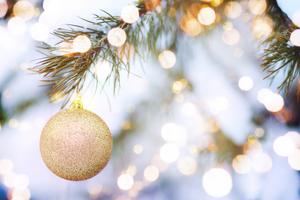 Because we could all use a little boost of fun this holiday season. (Ekaterina Goncharova/Getty Images/TCA)