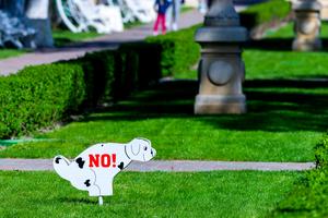 Even responsible dog owners sometimes forget that not everyone is cool with pets peeing and pooping in their yard, writes Cathy M. Rosenthal. (Dreamstime/TNS)