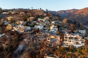 Brian van der Brug/Los Angeles Times/TNS