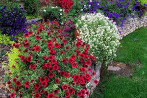 Norman Winter/Norman Winter/TNS