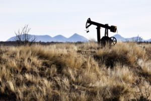 Tom Fox/The Dallas Morning News/TNS