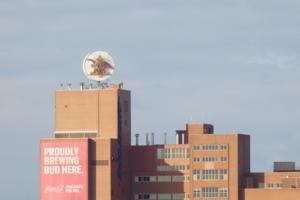 Bigapplestock/Dreamstime/TNS