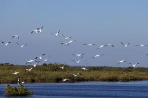 Bruce Bennett/Getty Images North America/TNS