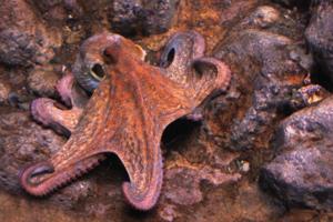 Dreamstime/Dreamstime/TNS