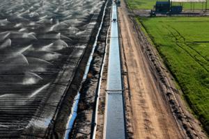 Carolyn Cole/Los Angeles Times/TNS