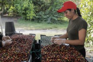 JJ Bonilla/AFP/Getty Images North America/TNS