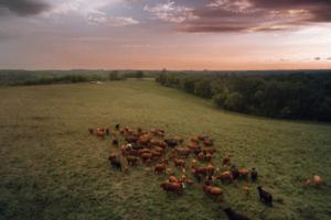 Ross Harried/ZUMA Press/TNS