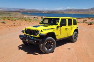 Henry Payne, The Detroit News/The Detroit News/TNS