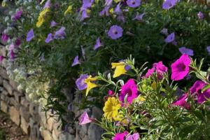 Norman Winter/Norman Winter/TNS