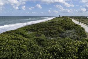 Matias J. Ocner/Miami Herald/TNS