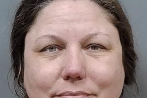 Manatee County Sheriff's Office/Manatee County Sheriff's Office/TNS