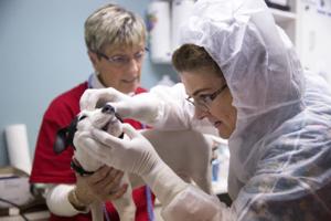 Erin Hooley/Chicago Tribune/TNS