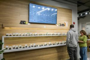 Katy Kildee, The Detroit News/The Detroit News/TNS